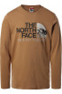 Koszulka męska THE NORTH FACE Image Ideals T94T1H173