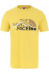 T-Shirt męski THE NORTH FACE Mountain Line T0A3G2ZBJ