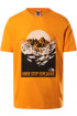 T-Shirt męski THE NORTH FACE Natural Wonders T94T1GPKH