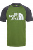 T-Shirt męski THE NORTH FACE Raglan Easy T937FV8RD