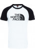 T-Shirt męski THE NORTH FACE Raglan Easy T937FVLA9