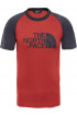 T-Shirt męski THE NORTH FACE Raglan T937ZY1WG