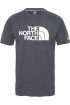 T-Shirt męski THE NORTH FACE Wicker Graphic T92XL9WVZ